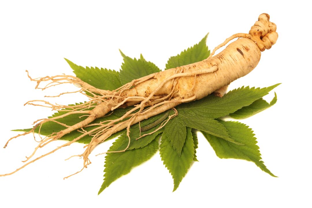 Ginseng - an element of the ingredient Alfazone