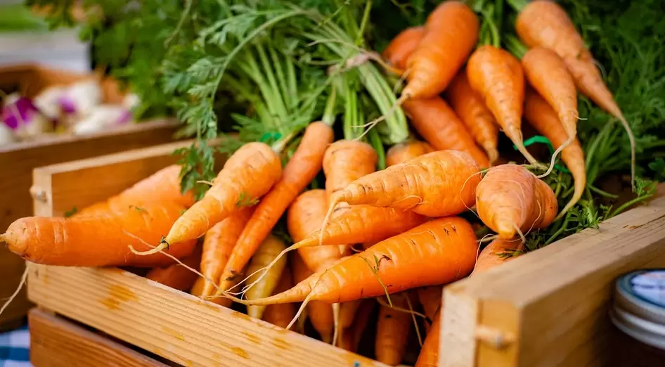 The benefits of carrots